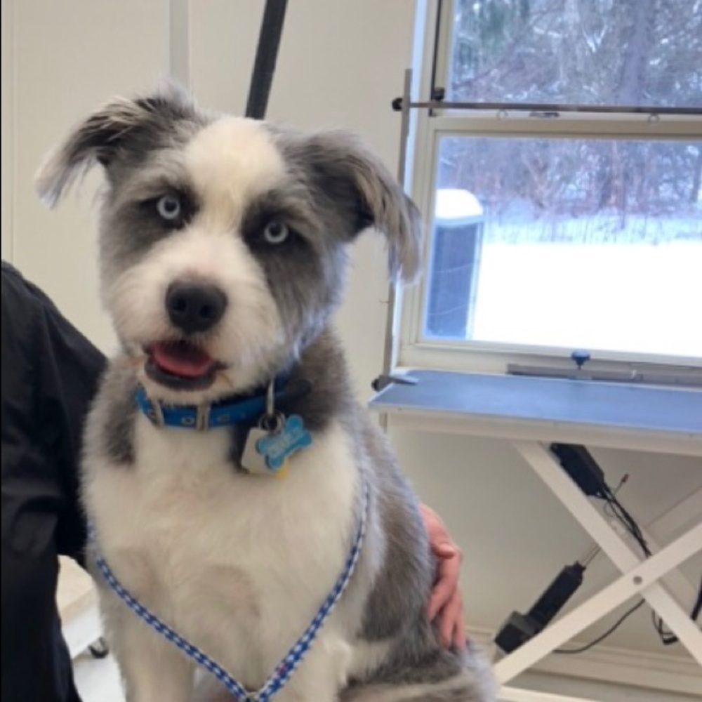 Meet your Posher, Devinne